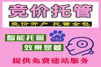 SEM广告投放案例：提升网站流量与转化